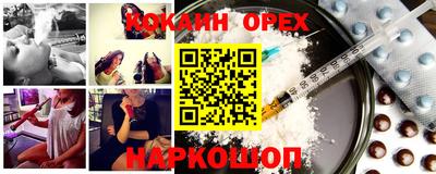 стафф Кингисепп