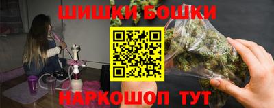 стафф Кингисепп