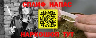 шишки Кандалакша